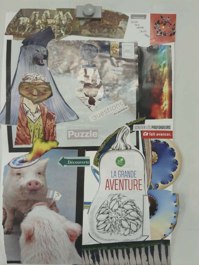 Collage 202311 image