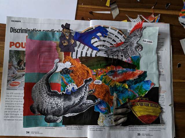 Collage 202312 image