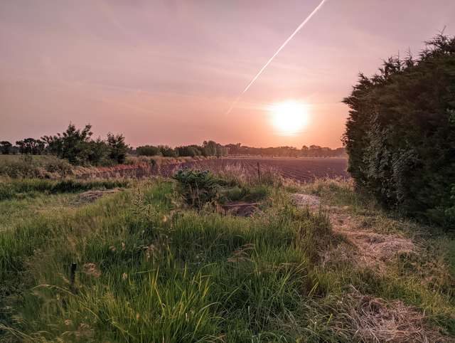 Marsdeloire 2305 image